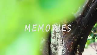 Memories By Chiukepo Mkandawire