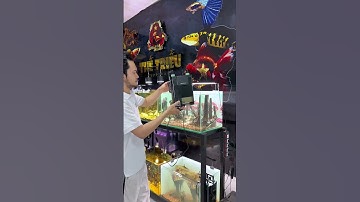 Hướng dẫn sử dụng và lắp đặt lọc treo Jeneca LT