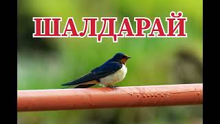 картинка: Шалдар-ай! (Қазақша аудио кітап)