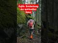 Wandern durch Fujifa  Entdeckung der spirituellen Natur#shorts