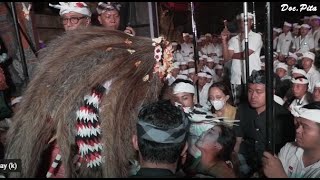 IDA RATU GEDE MANIK UBUD NAPAK PERTIWI || Calonarang Pura Batur Sari Ubud 2022
