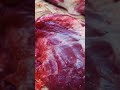 Eid Third Day #eiduladha2026 #qurbani2026 #animal #yt #cow #qurbanvlogs #bull #meat #qurbanikagosht