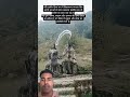#motivation #bollywood #facts #nandimahraj #kedarnathsanctury #love #vlog har har Mahadev #vidur
