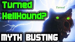 Can You Get A Turned HellHound? |  Black Ops 3 Zombies | Myth Busting Monday's #14