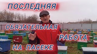 Последняя обязательная работа на пасеке