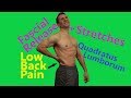 Low Back Pain - Quadratus Lumborum