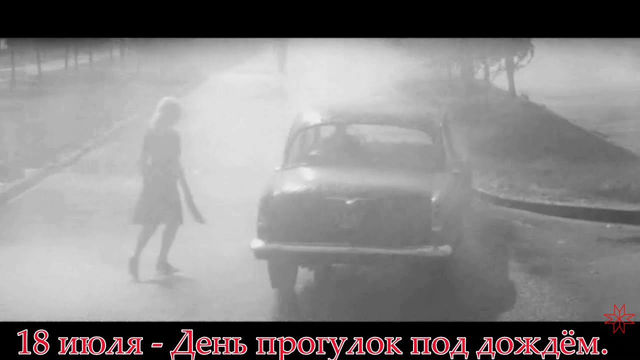 18 июля   - День прогулок под дождём. Алиса. Дождь.@