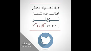 تويتر 