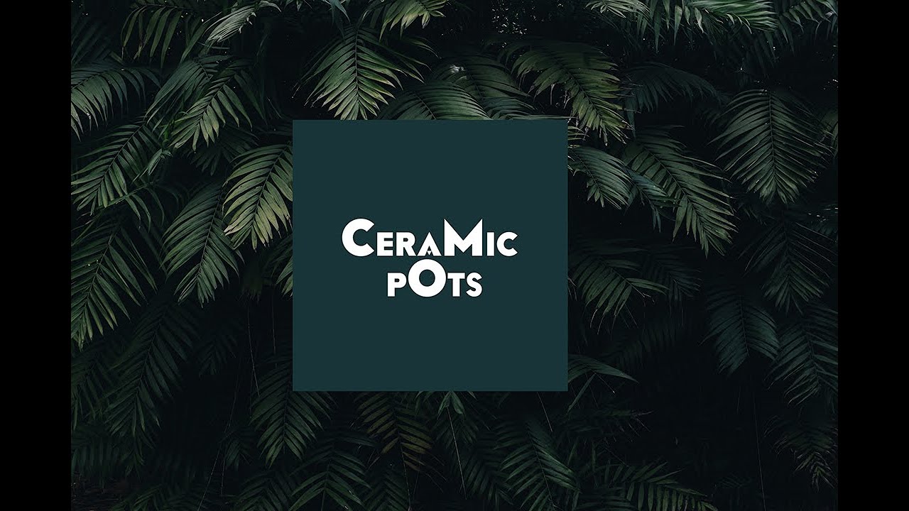 Wholesale Ceramic Pots Hub at Ernakulam Kochi Kerala YouTube