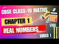 Real Numbers | Chapter 1 Real Numbers | 10 cbse maths chapter 1 Real numbers #class10
