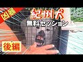 【凶暴犬】噛む紀州犬メンバーシップ特別無料セッション（後編）