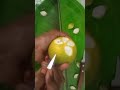 art#fruit#food#mosambi#beautiful mosambi flower carving#mosambi flower cutting trick#mosambi flower.