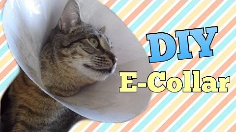 DIY E-Collar