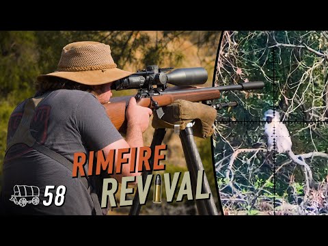 Blasting Monkeys On A Dairy Farm! Cz 457 & Fx Leopard | The Oxwagon Diaries, Ep.58