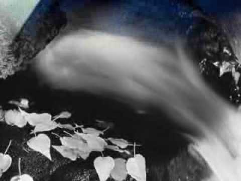 كروب عشاق مهدي العبودي