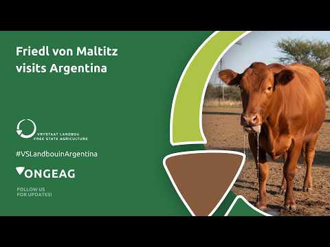 Friedl von Maltitz | Argentina’s FMD Recovery Timeline