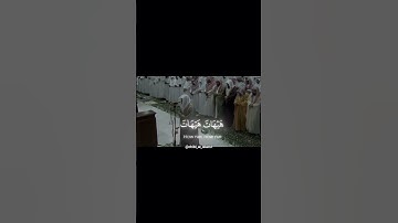 تلاوة هادئة تريح القلب للقارئ ياسر الدوسري #اكسبلور