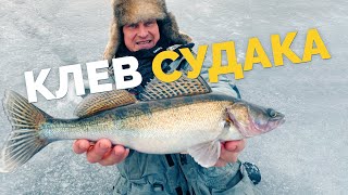 ЗИМНЯЯ РЫБАЛКА ДЛЯ КАЖДОГО! Клев судака со льда! Рыбалка в отвес! Ловим на балансиры! Рыбалка 2022!