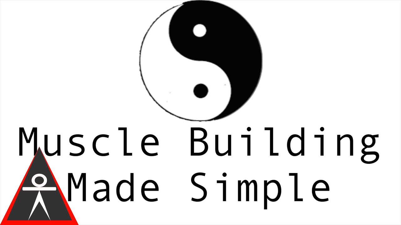 calisthenics workout program for beginners Muscle Building Made Simple