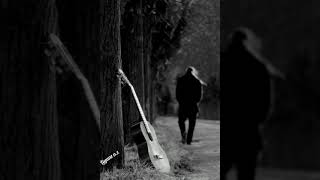 Kırılmasın Sesim....