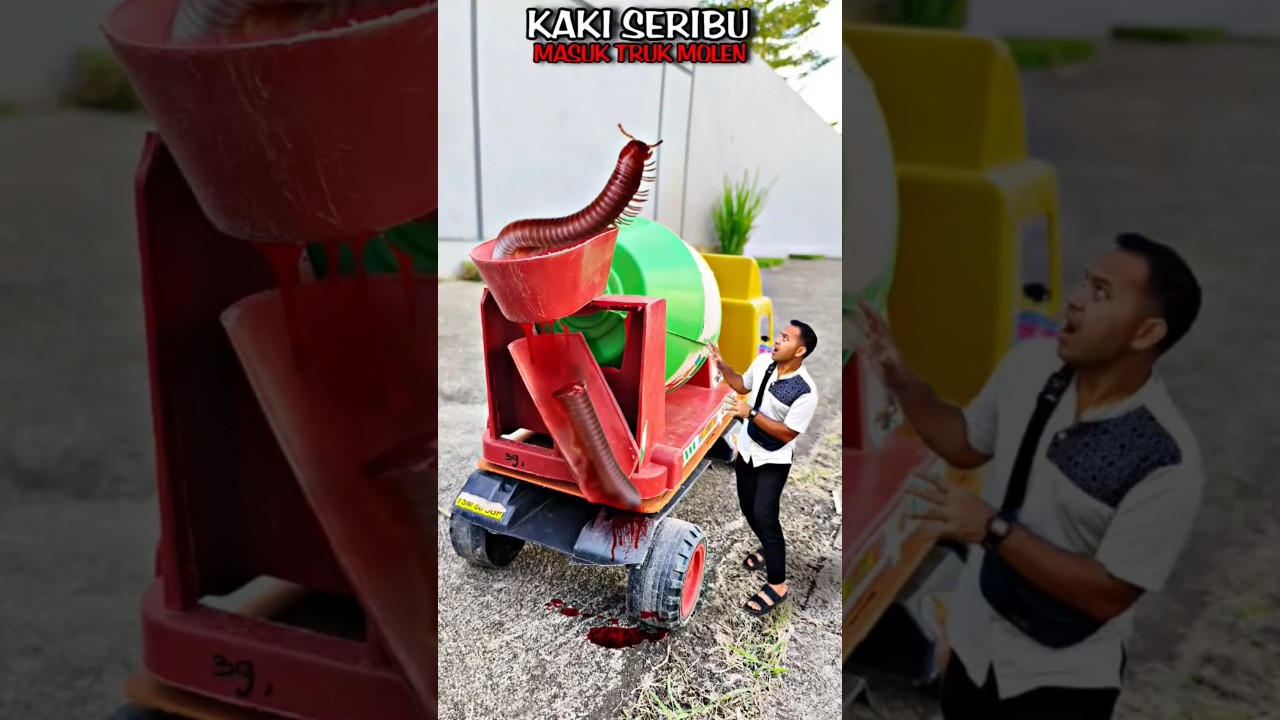 Apa❗Ulatku Terhisap Truk Molen❗Begini Cara Buatnya❗