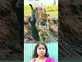 সাহস আর কৌশল #LionVsCrocodile #WildlifeBattle #KingOfTheJungle