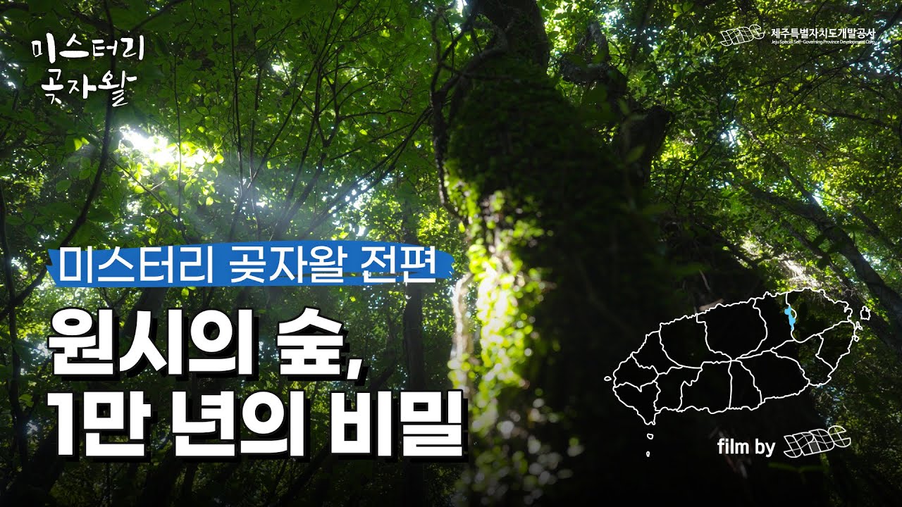 [원시의 숲, 1만 년의 비밀] 미스터리 곶자왈 풀스토리