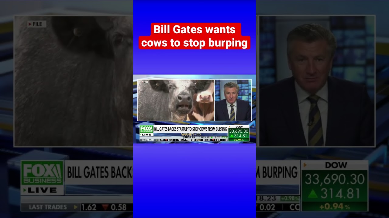 Bill Gates is backing a startup to stop cows from burping #shorts