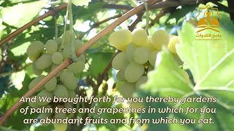 من أجمل ما ستسمع من التلاوات المريحة للقلب.. ولقد خلقنا فوقكم سبع طرائق وما كنا عن الخلق غافلين