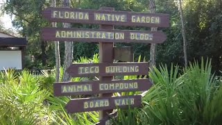 Kids learn to appreciate Florida wildlife in Nature's Classroom