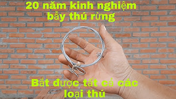 Chia sẻ cách làm dây bẫy thú rừng chuẩn nhất || Ep 1 || Tây Nguyên Hoang Dã