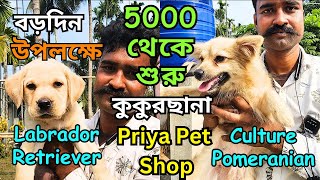 Best Dog Kennel Habra | Priya Pet Shop | Low Price Puppy Sell Habra