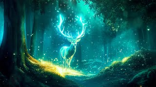 Enchanted Forest Music 🦌 6 Hour Magical Ambience for Deep Sleep, Relieve Stress, Relaxing