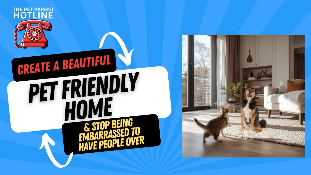 Creating a Home You’re Proud Of Even With Pets