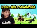 UNBOXING TARANTULA DAN KALAJENGKING feat KEIKO