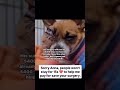 💔 This is Anna. 💔She survived a tragic accident,#usa #canada #uk #germany