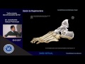 Deformidades Neuromusculares del pie