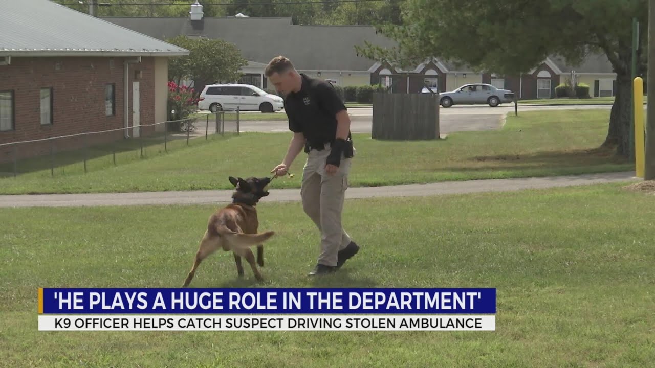K-9 officer helps catch suspect driving stolen ambulance - YouTube