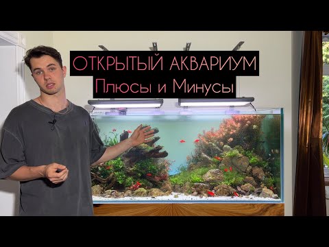 ОТКРЫТЫЙ АКВАРИУМ. Плюсы и Минусы