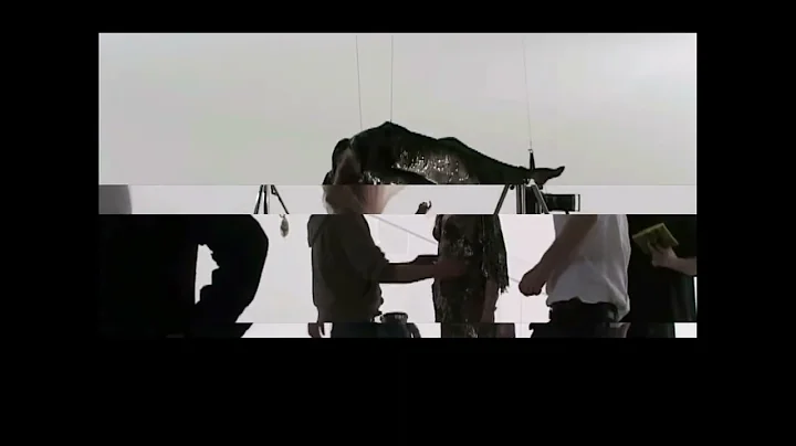 blade of light (edit) - alexander mcqueen & nick knight