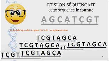 Quel est le but du séquençage ?