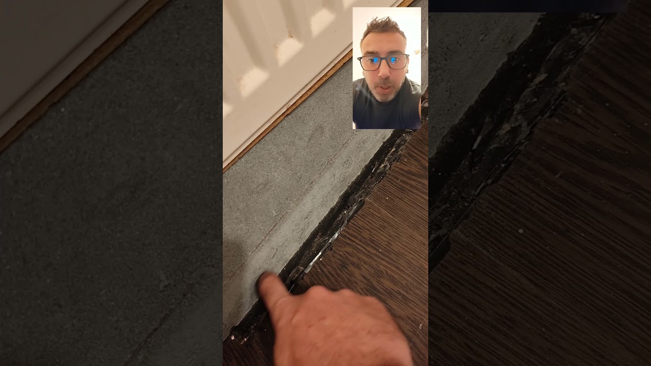 Dorel loveste don nou 