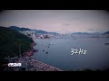 신촌길냥이 - 32hz[Official M/V]