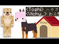 PvP最強の犬Vichy飼い始めました