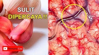 Setelah Makan Bawang Putih Saat Perut Kosong, Ini Yang Akan Terjadi Pada Tubuhmu