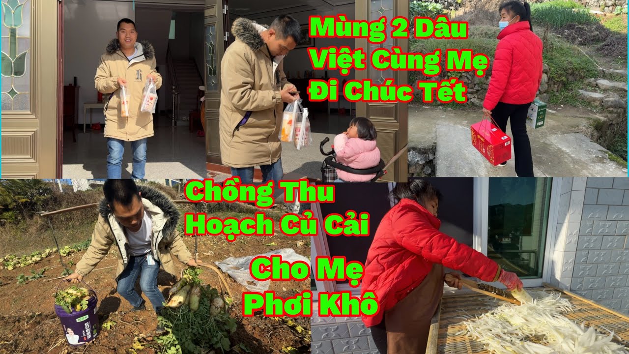 Mùng 2 Tết Chồng Con Chở Mẹ Đi Truyền Nước Biển, Cùng Mẹ Đi Chúc Tết, Chồng Thu Hoạch Củ Cải Đã Tay 