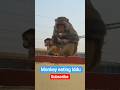 #90 million views#Instagram most viral shorts ll#you tube shorts#viral shorts#reels#cute#baby#monkey