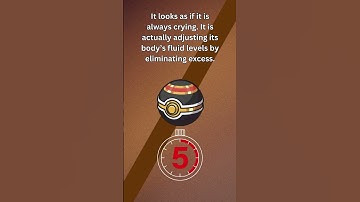 Pokemon quiz - guess the Pokemon from the Pokédex entry - Gen 4 #pokemonquiz #whosthatpokemon