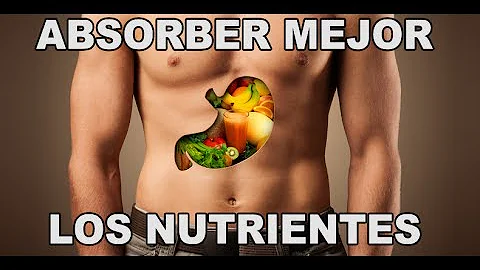 ¿Qué vitamina ayuda a absorber los nutrientes?