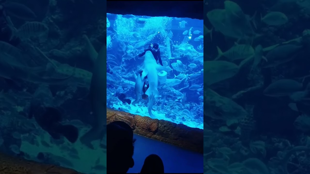 Aquarium BXSea 